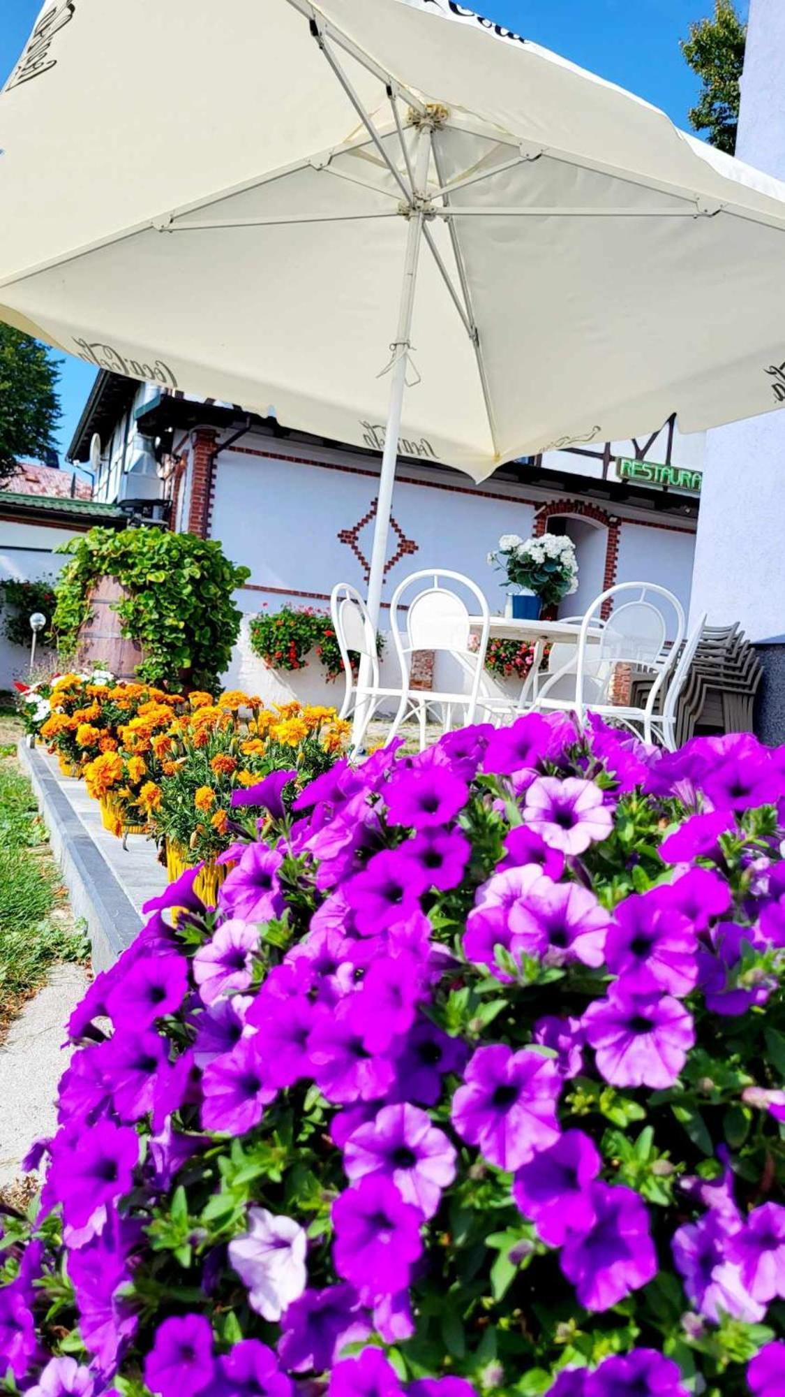 Villa Blue Mare 우스트 노리 모르스키 외부 사진
